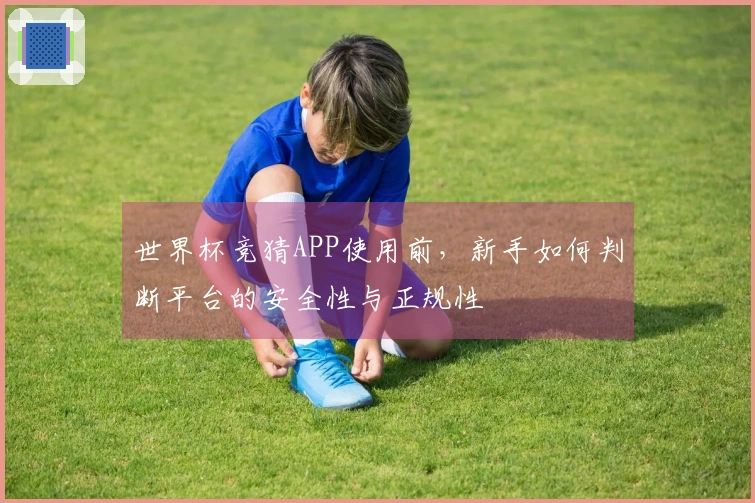 世界杯竞猜APP使用前，新手如何判断平台的安全性与正规性